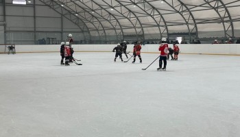 "ЗОЛОТАЯ ШАЙБА"